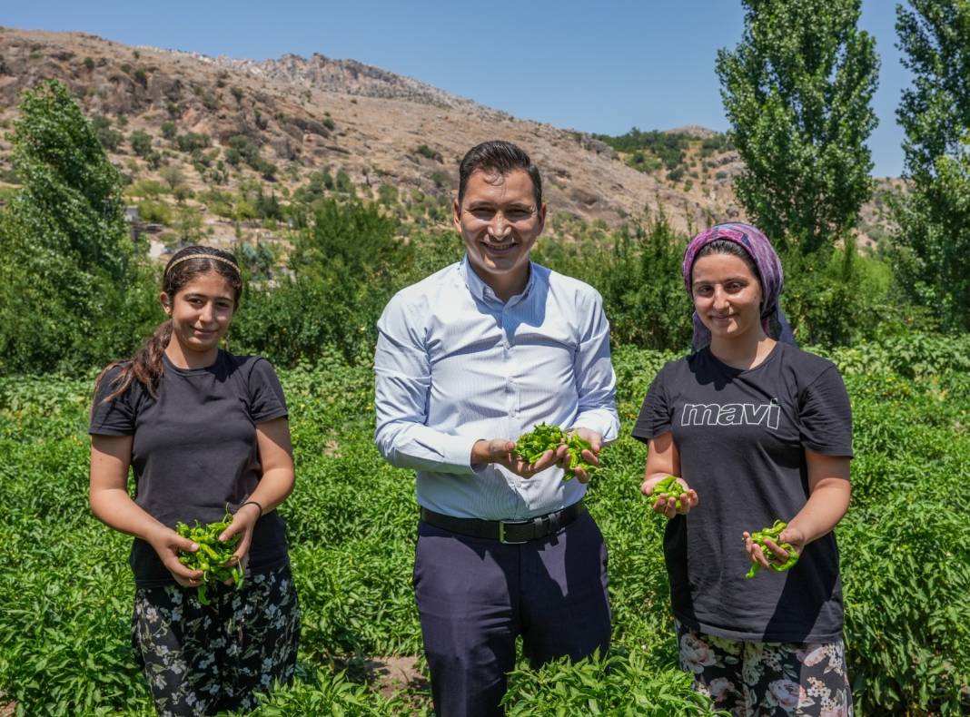 Sezonu geldi: Haftada 250 kilogramı Almanya ve İsviçre'ye yollanıyor 5